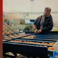 دستگاه نایلون پیچ مرکبات 8لاین|ماشین‌آلات صنعتی|قائم‌شهر, |دیوار