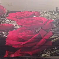 سوئیت اجارهای شبی 700تومان هرشب لوکس بهتر از هتل|اجارهٔ کوتاهمدت آپارتمان و سوئیت|شیراز, گویم|دیوار