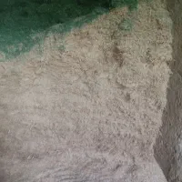 کاه گندم پارسال