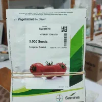 بذر گوجه بریویو باسیمو بدرو برنتا|عمدهفروشی|بندرعباس, |دیوار