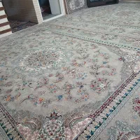 فرش نو ۲ ماهه خریداری شده|فرش|زنجان, |دیوار