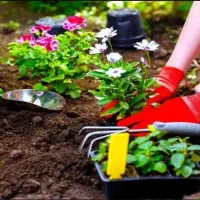 استخدام کارگر دائمی