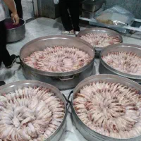 ظرفشور و نظافتی