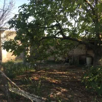 زمین باغی مسکونی