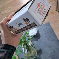 طراحی و چاپ