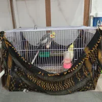 یک جفت عروس هلندی|پرنده|خواف, |دیوار