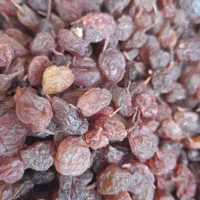 کشمش افتابی.|خوردنی و آشامیدنی|باغستان, |دیوار