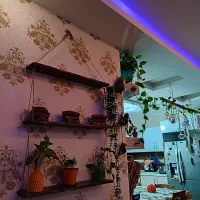 شلف چوبی کنفی تزئینی