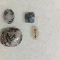 شجر قائنات