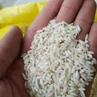 عنبربو شوشتر خالص|خوردنی و آشامیدنی|اصفهان, شهرک کاوه|دیوار