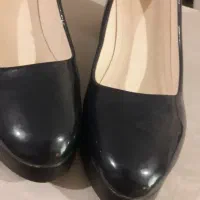 رسمی|کتابخانه، شلف، قفسههای دیواری|مشهد, گلبرگ شمالی|دیوار