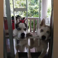 واگذاری ماده ۳ ساله