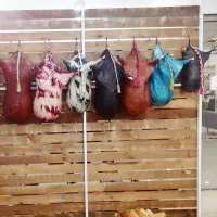 افر روز 6تا انبان