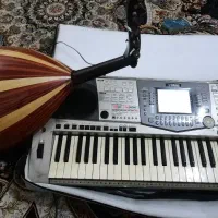 ارگ A1000 و عود بحرینی