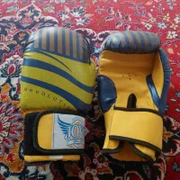 دستکش ووشو کاملا نو