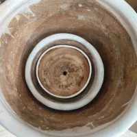 گلدان|گل و گیاه طبیعی|رفسنجان, |دیوار