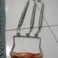 فنر ورزشی