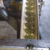 فروش روغن زیتون اصل رودبار|خوردنی و آشامیدنی|رشت, آب آسیاب|دیوار