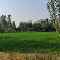 راهنمایی کنید