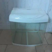آکواریوم دلسا