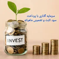 سرمایه گذاری روی تولیدات داخل
