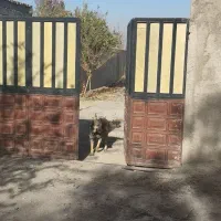 اجاره-چهاردیواری-700-متری-برق-و-گاز