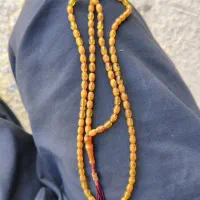 کهربا فاتح