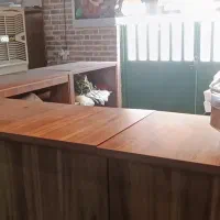 دکور کافه|کافی‌شاپ و رستوران|بم, |دیوار