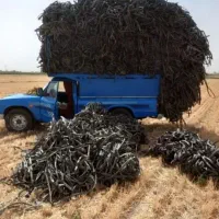 فروش نوار تیپ ضایعاتی
