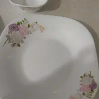 ظروف پذیرایی آرکوپال نونو|ظروف سرو و پذیرایی|رباطکریم, رباطکریم|دیوار