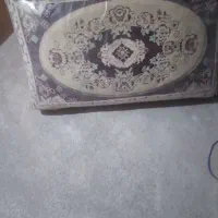 دوجفت پشتی نو