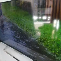 نمایندگی تعمیرات وخدمات پس از فروش انواع تلویزیون|تلویزیون و پروژکتور|بیرجند, |دیوار