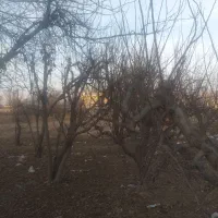 فروش-زمین-سنددار-سنقرآباد-سهیلیه