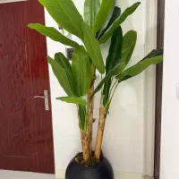 درختچه مصنوعی موز