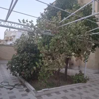 رهن-اجاره-منزل-3-واحدی350-متری-دربست-گلدشت-محمدی
