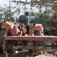 تیلر|خدمات پیشه و مهارت|بم, |دیوار