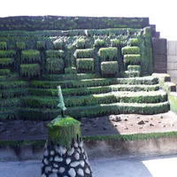 ساخت آبنما و آبشار|خدمات پیشه و مهارت|نجف‌آباد, باغ ملی|دیوار