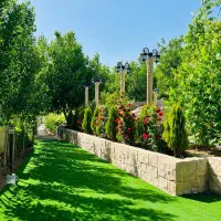 باغ و باغچه