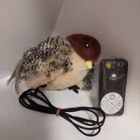 اسباب بازی گربه