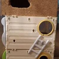 ۳ عدد لانه پرنده