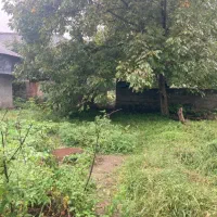 همپا برای سفر و اقامت یک هفته ای در شمال