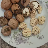 گردو و بادام تازه