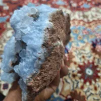 سنگ زینتی|کلکسیون اشیاء عتیقه|شیراز, دانشگاه شیراز|دیوار
