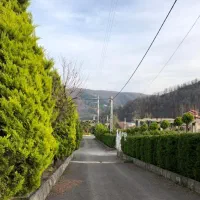 زمین شهرکی باچک.سندداربدون مشرف|فروش زمین و ملک کلنگی|خرمآباد (تنکابن), |دیوار