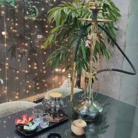 نیروی کار جهت کار در کافه