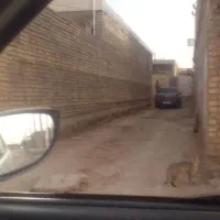 خانه-ویلایی-در-کوی-سیاحی