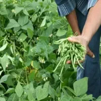 به تعدادی نیروی کار نیازمندیم