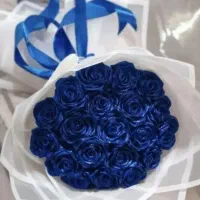 گل ربانی|گل مصنوعی|خرمآباد, |دیوار