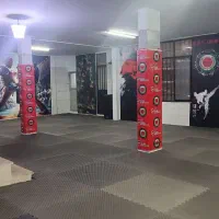 آموزش کاراته