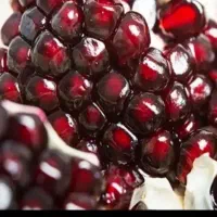 انار تازه  ،مستقیم از باغ، عمده و صادراتی